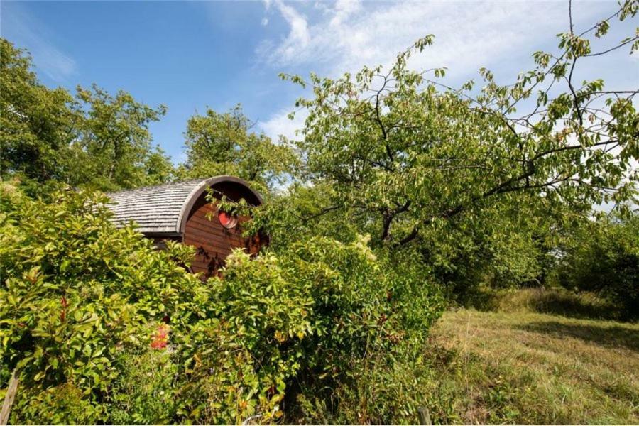 Le Chalet Du Chemin Et Sa Roulotte Berviller-en-Moselle Zewnętrze zdjęcie