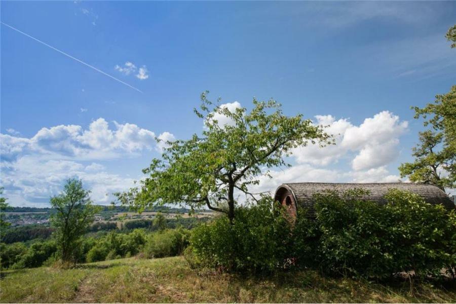 Le Chalet Du Chemin Et Sa Roulotte Berviller-en-Moselle Zewnętrze zdjęcie