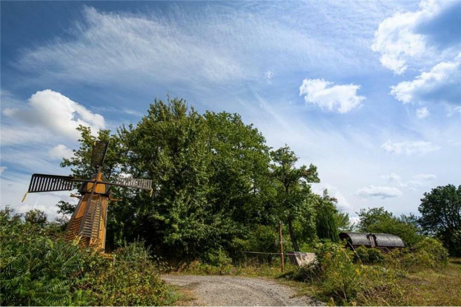 Le Chalet Du Chemin Et Sa Roulotte Berviller-en-Moselle Zewnętrze zdjęcie